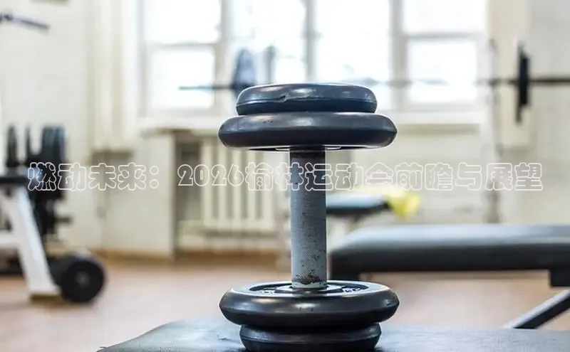 中欧体育集团